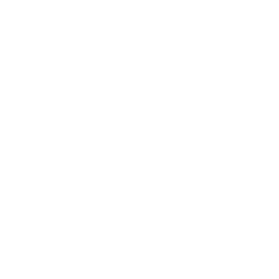 Search